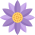 flower (1)